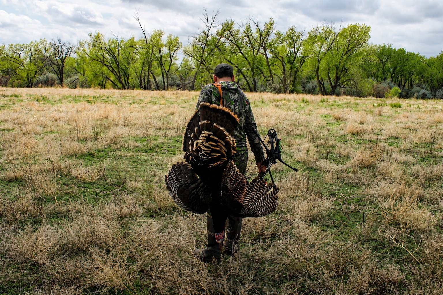 Colorado Turkey Hunt